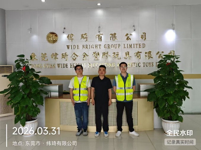 XYZ26031913701东莞纬琦合金塑胶玩具有限公司报告公开信息表